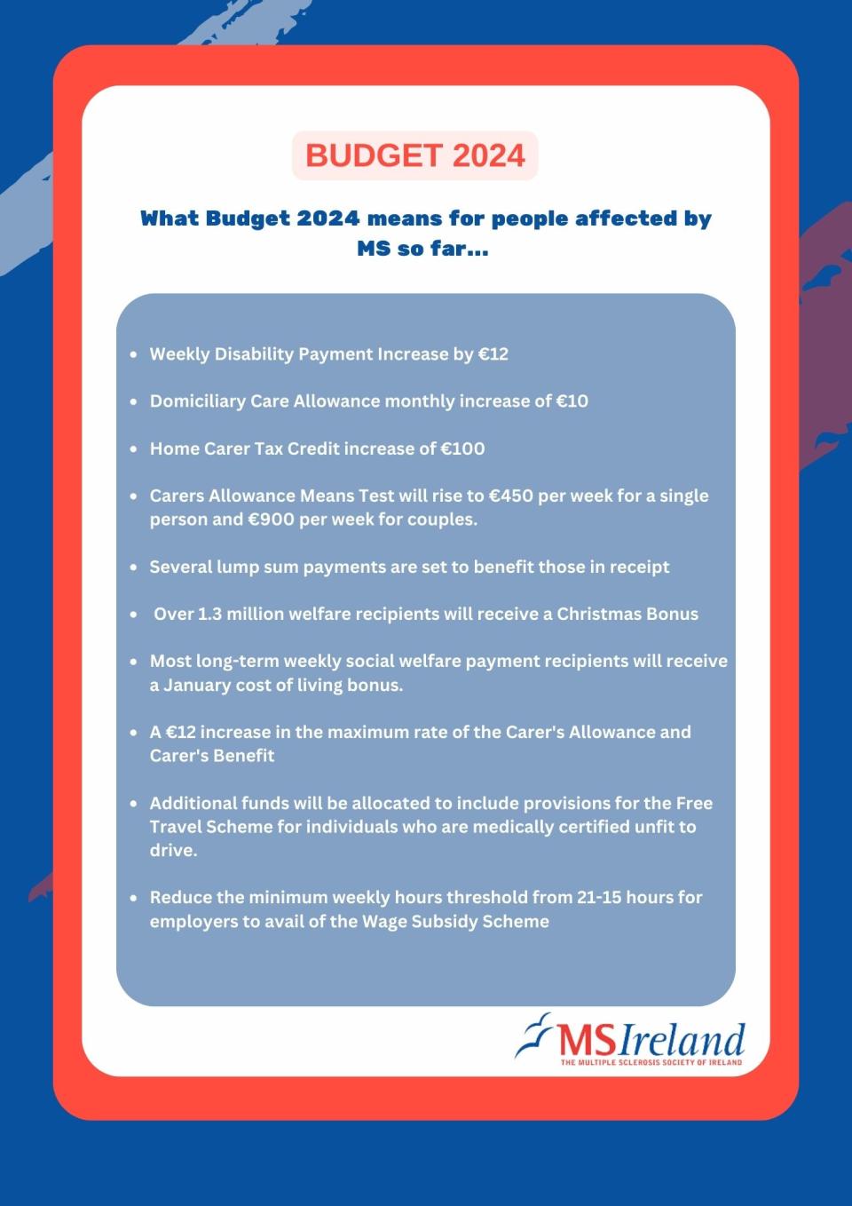 Budget 2025 MS Ireland